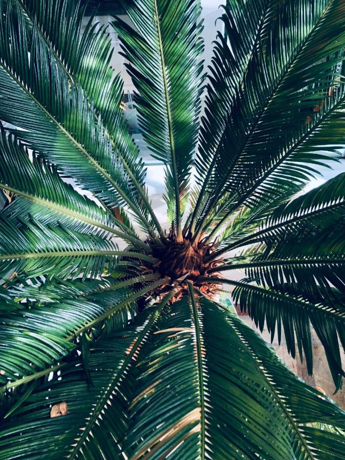 Les Grands Jardins Lodge جيفرني المظهر الخارجي الصورة